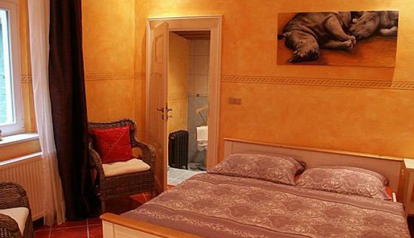 Pension Edinburgh Mariánské Lázně - Jednolůžkový pokoj, Dvoulůžkový pokoj